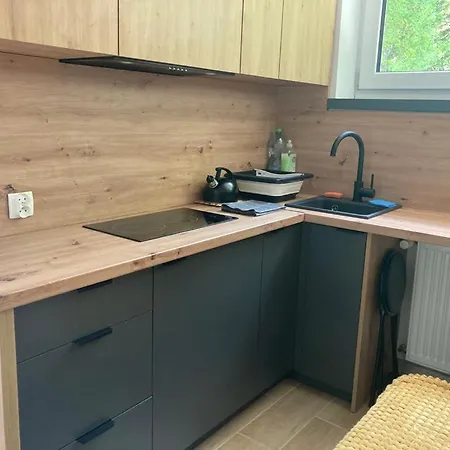 Lemon Apartment Ustron